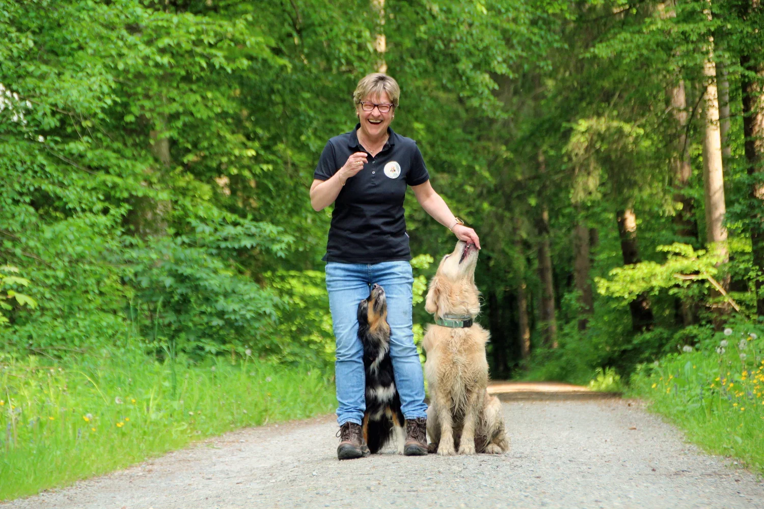 Hundetraining für jeden Hund