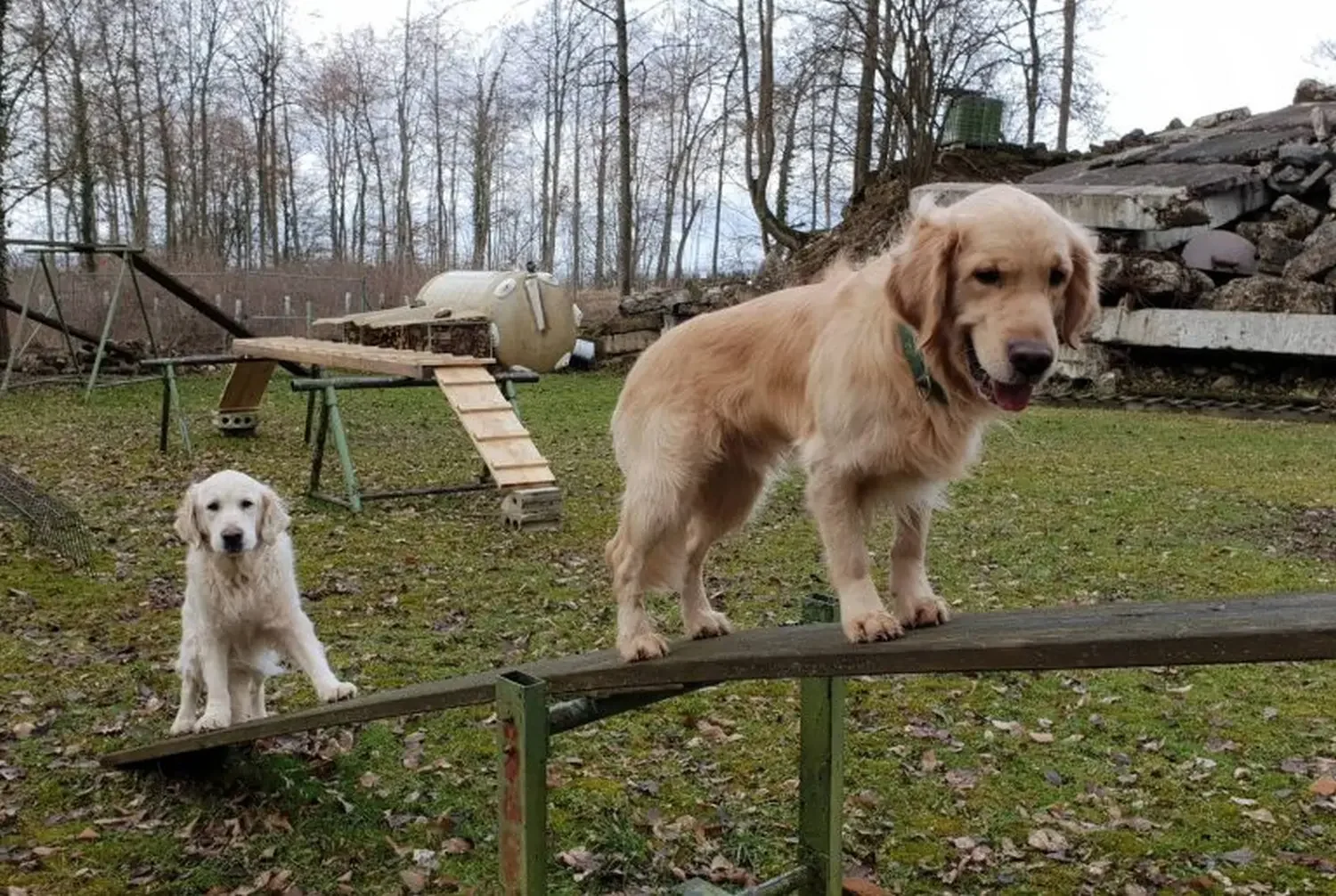 Kreis Gütersloh Hundeschule